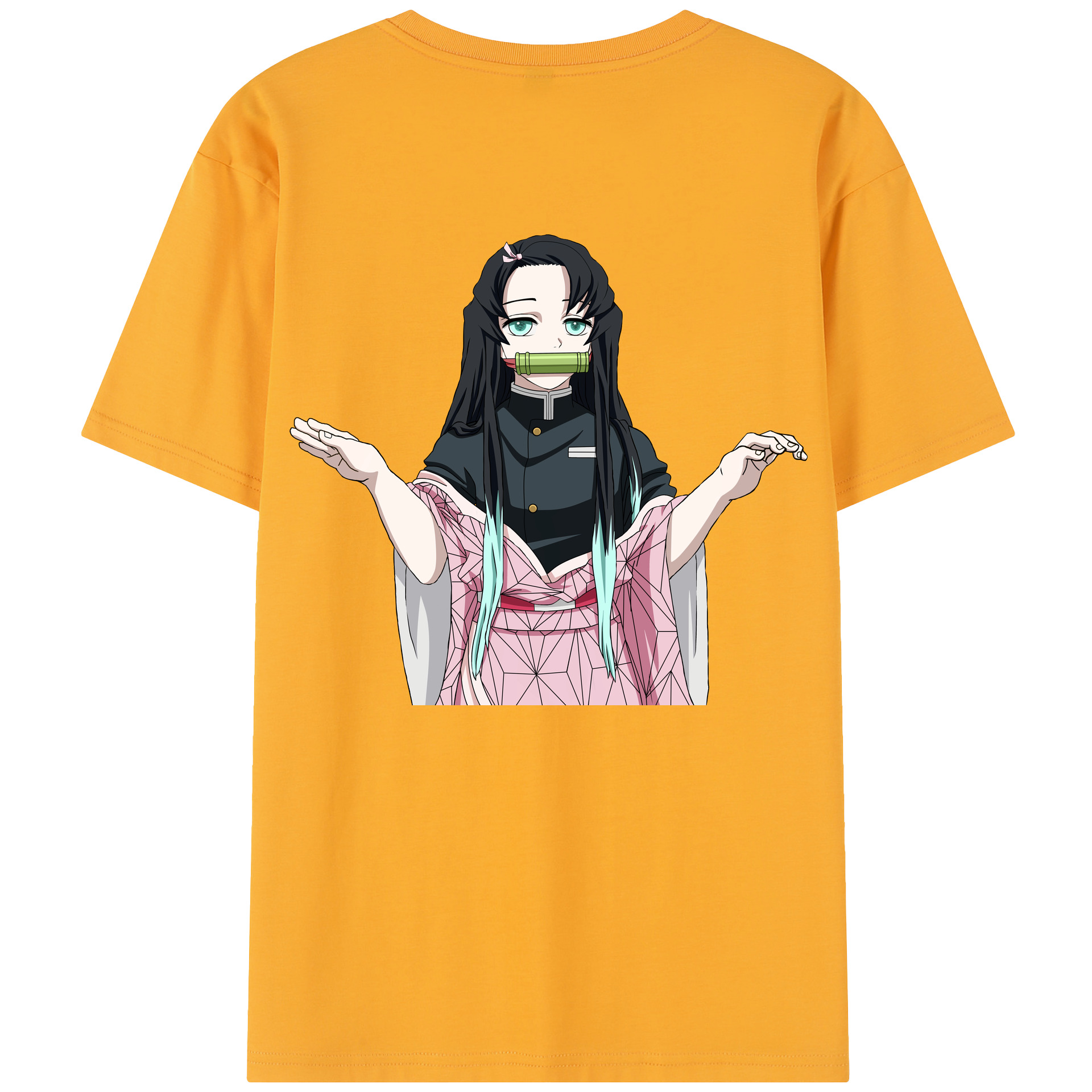 （画像用） 鬼滅の刃（きめつのやいば）竈門 禰󠄀豆子／かまど ねずこ Kamado Nezuko レディース半袖Tシャツ(バックプリント)