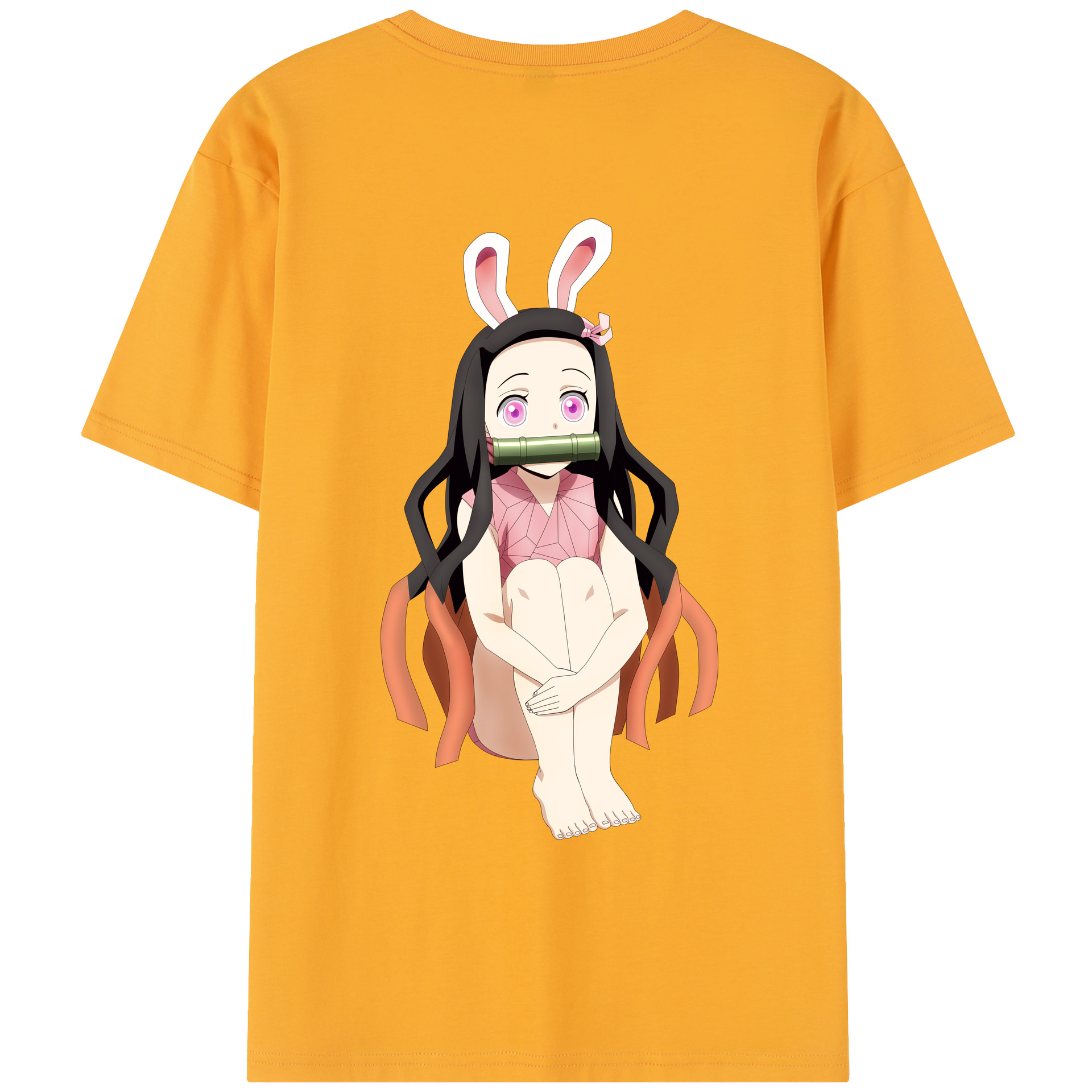 （画像用） 鬼滅の刃（きめつのやいば）竈門 禰󠄀豆子／かまど ねずこ Kamado Nezuko レディース半袖Tシャツ(バックプリント)